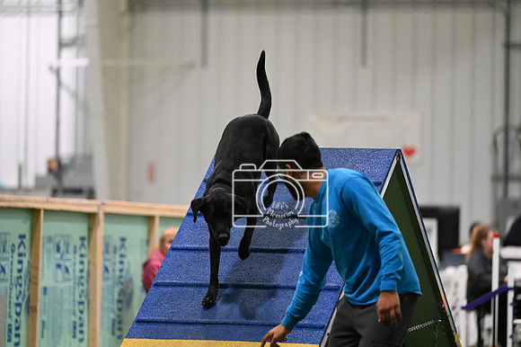 LMP_2867