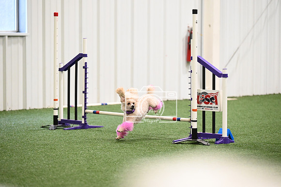 LMP_6116