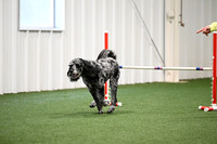 LMP_6031