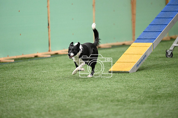 LMP_5767