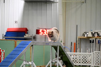 LMP_3925