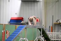 LMP_3928