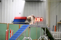 LMP_3932
