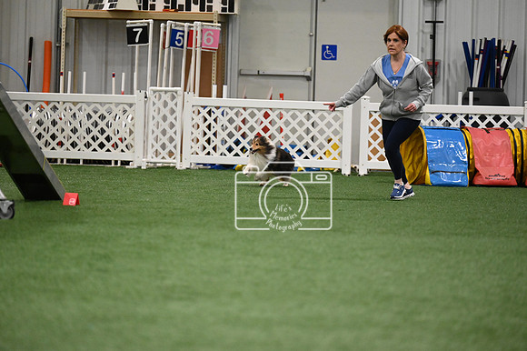 LMP_3999