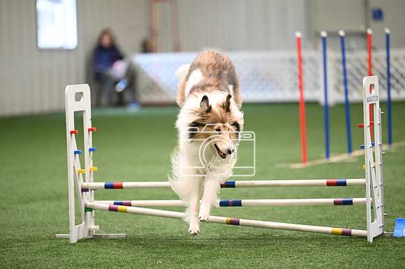 LMP_5243