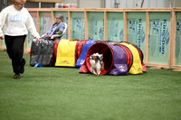 LMP_7417