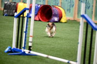 LMP_0487
