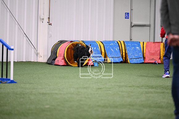 LMP_8328