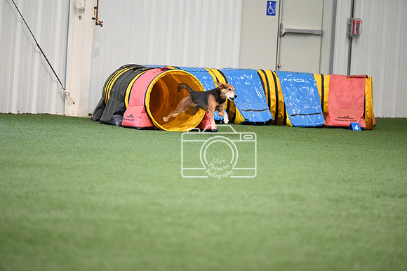 LMP_0038