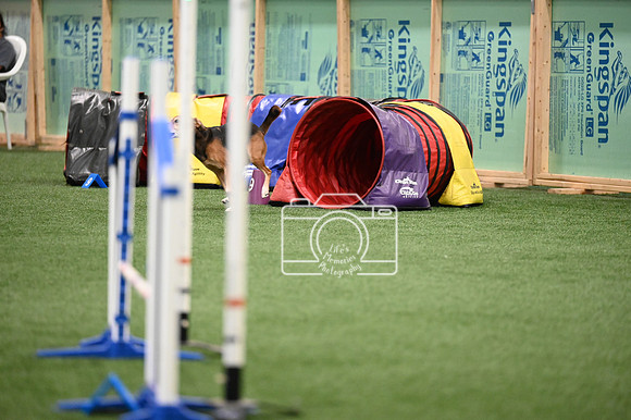 LMP_0044