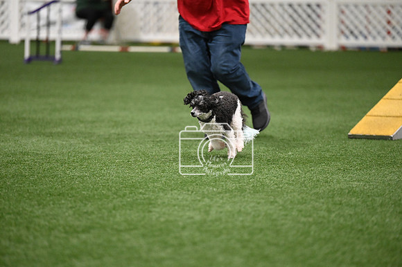 LMP_8560