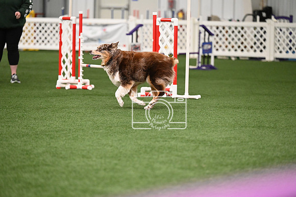 LMP_9698
