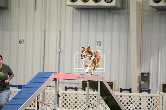 LMP_8616