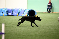 LMP_5465