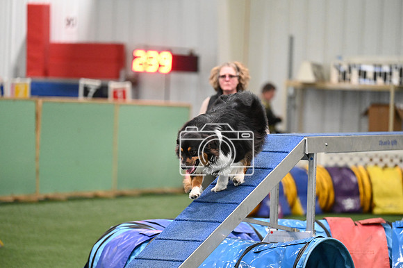 LMP_4539