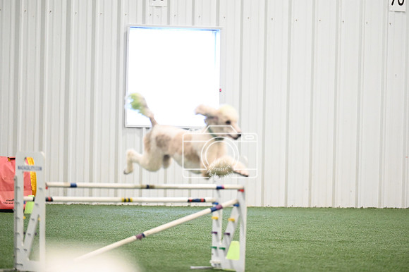 LMP_4252