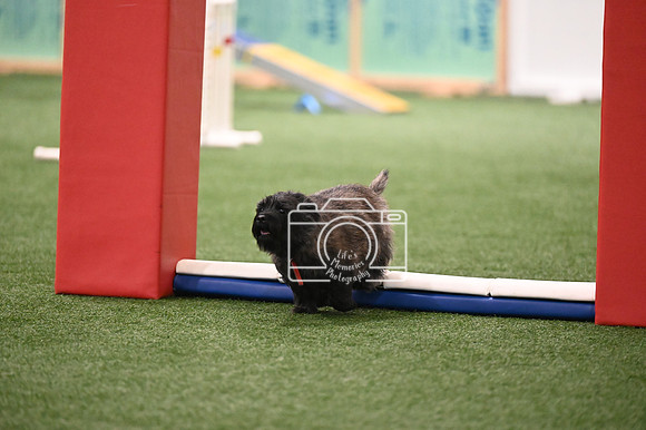 LMP_6962