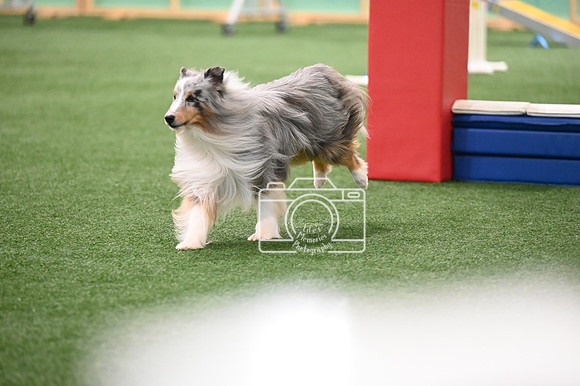 LMP_7226