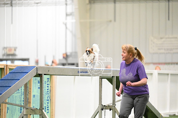 LMP_6331