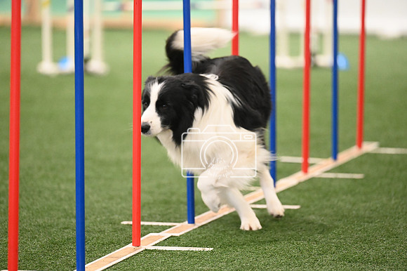 LMP_0004