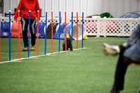 Excellent Master Jumpers - 4 & 8