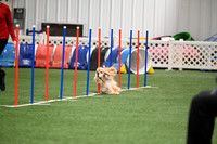 Excellent Master Jumpers - 12