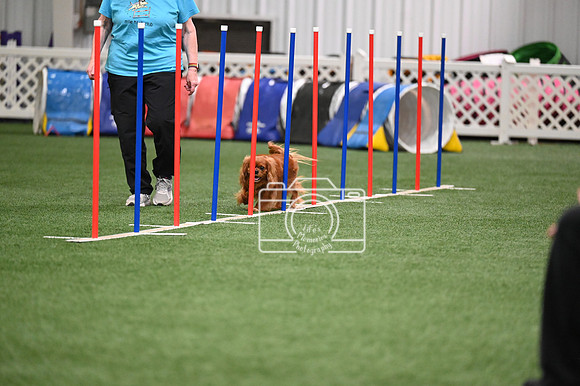 LMP_1451