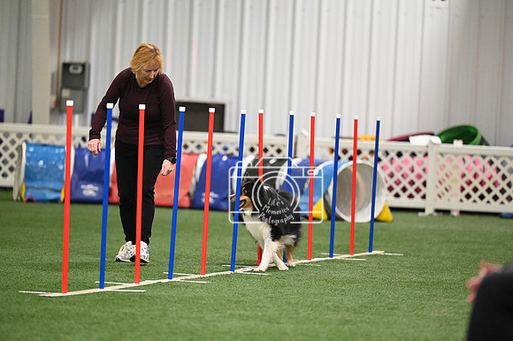 LMP_1716