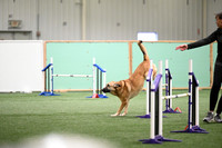 Excellent Master Jumpers - 20 & 24