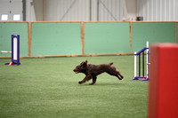 Excellent Master Jumpers - 16