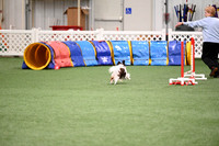 Novice Jumpers