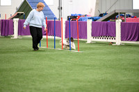 LMP_1064