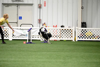 Open / Novice FAST