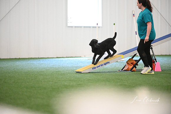 LMP_5964
