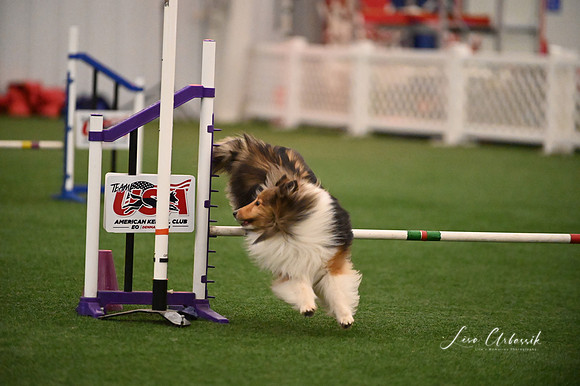 LMP_0261