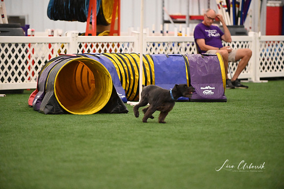 LMP_2397