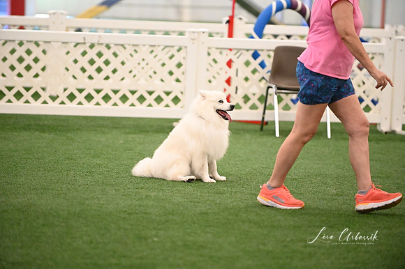 LMP_7735