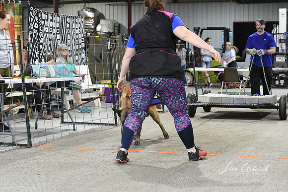 DSC_5383