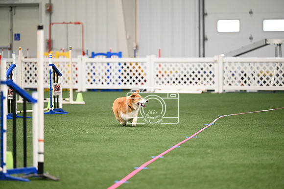 LMP_5905