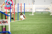 LMP_7388