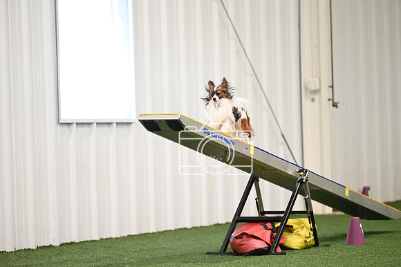 LMP_7397