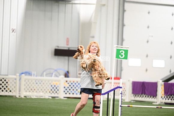 LMP_8707