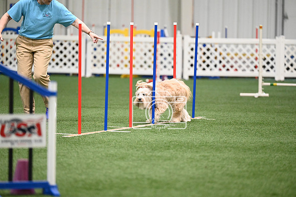LMP_7465