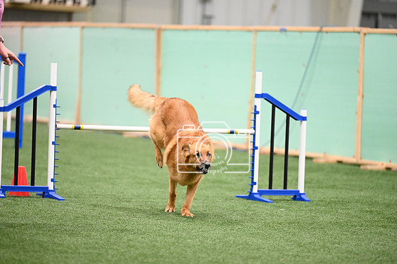LMP_1657