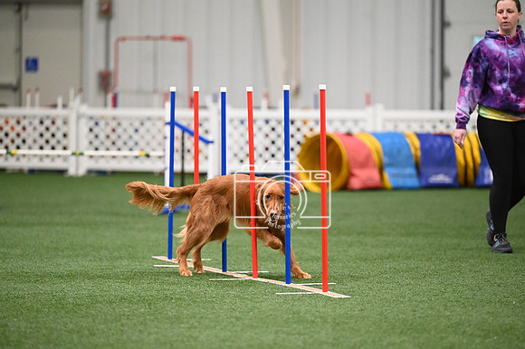 LMP_1668