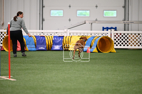 LMP_1996