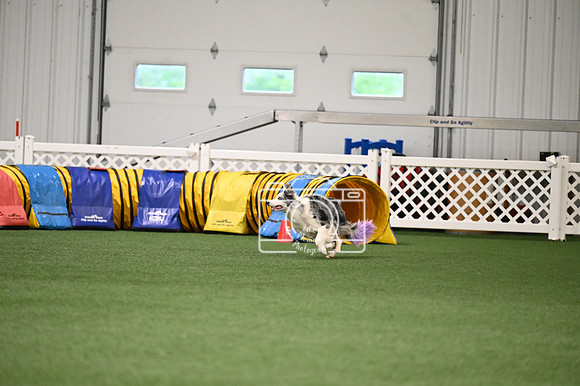 LMP_2022