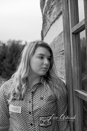 DigitalBrynn2020 (88)