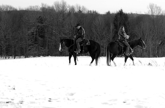 Engagement65