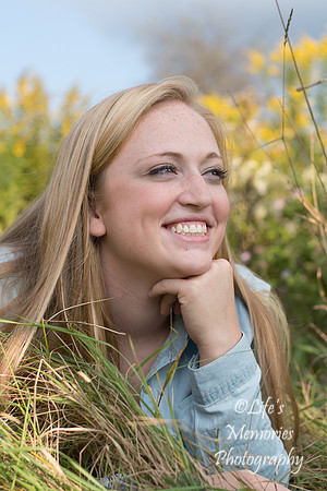 Laken (85)